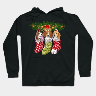 Beagles Socks Christmas Gifts Dogs Lovers Hoodie